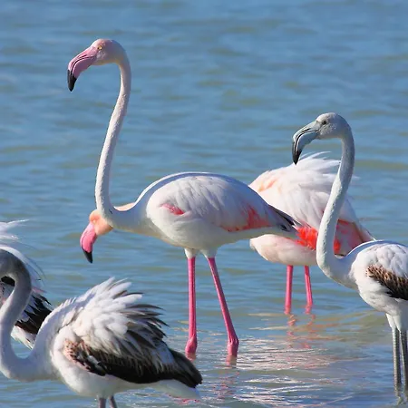 Casa Alice Funtana Meiga